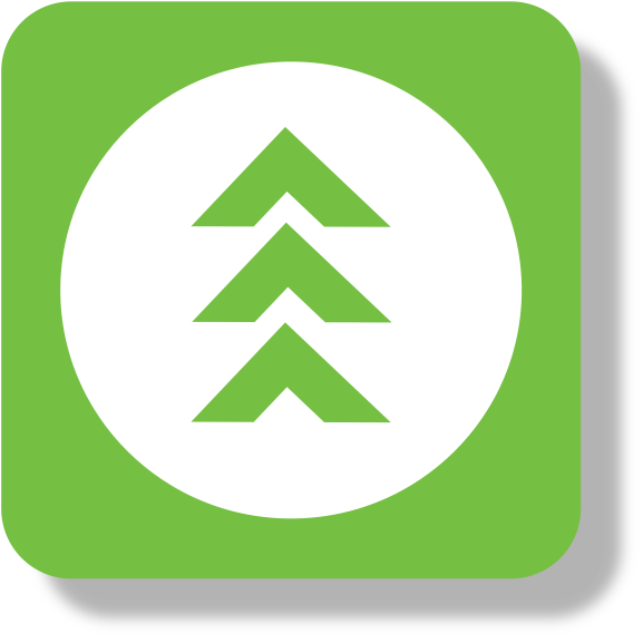 Wayme Logo